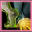 Yellow Talisman of Alacrity